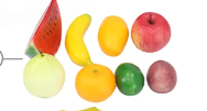 fruit model